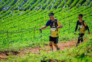 BIB: 329
                            <button type="button" onclick="openModal(19163498)" class="btn btn-primary btn-sm float-right btn-popup" data-toggle="modal" data-target=".modal-high-quality">
                        <i class="fas fa-shopping-cart"></i> Add to Cart
                    </button>
                                            <button type="button" onclick="isThisMe(19163498, true)" class="btn btn-success btn-sm float-right btn-popup btn-isme hidden" data-toggle="tooltip" data-placement="bottom" title="นี่คือรูปของคุณใช่ไหม คลิกที่นี่เพื่อเอาเข้าอัลบั้ม">
                        <i class="fas fa-plus"></i> Add to album
                    </button>
                    <button type="button" onclick="isThisMe(19163498, false)" class="btn btn-warning btn-sm float-right btn-popup btn-isnotme hidden">
                        <i class="fas fa-ban"></i> Remove from album
                    </button>